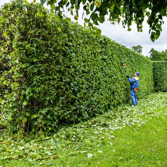 dreamstime_s_153815614 Hedgecutting